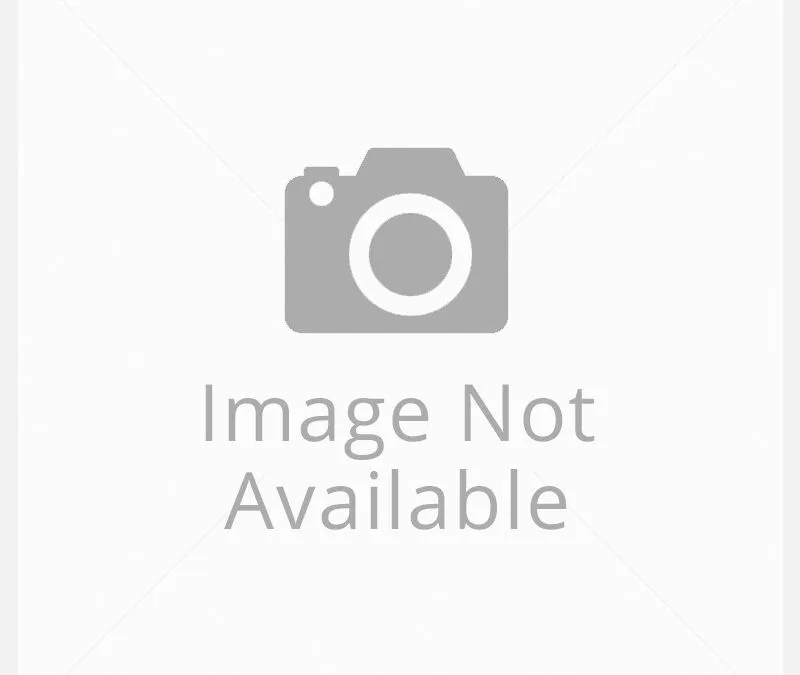 BHJ E LLC logo